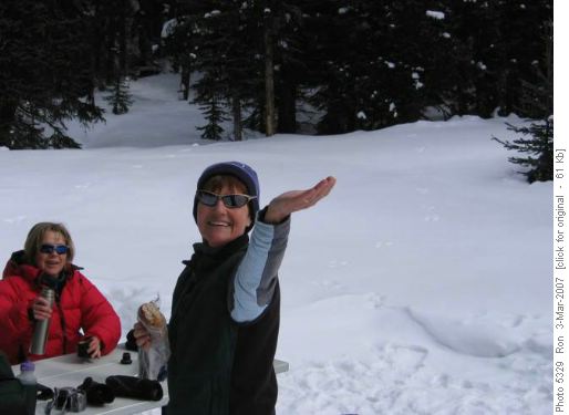 A Whiskey Jack so fast it is out of the picture!