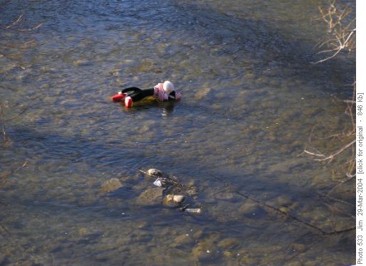 Dave could no longer resist the temptation to doff his hiking duds for a quick dip