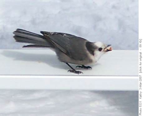 Choking on a piece of bagel?