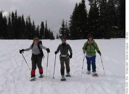 Chester Lake meadows