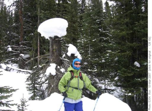 Snow mushroom & {1069 Yvonne Beatty}