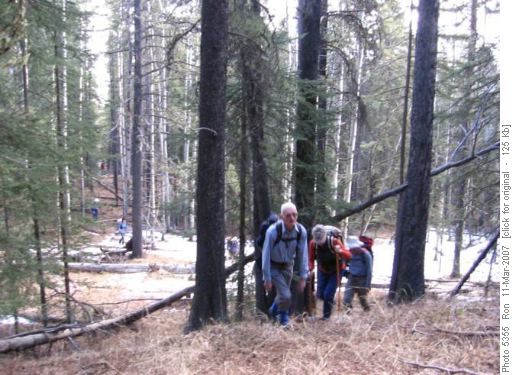 {826 john Katay} leads the way up the Mt.McNabb cutline