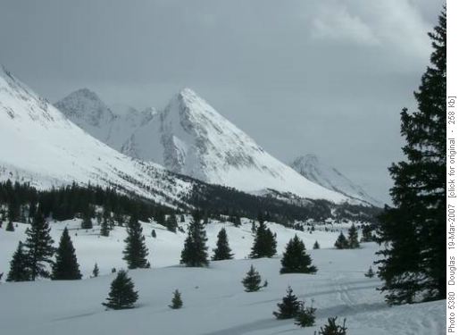 Looking south from east side of Fossil Mtn