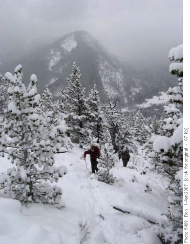 {141 Jean Amatt} & {777 Dav Harding} heading up Bull Creek Hills