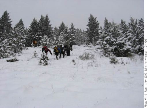 Tight group (bear alert?) heading up Bull Creek Hills