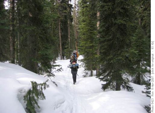 Paradise Valley: snowshoes not required on lower trail