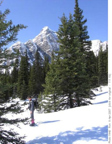 {991 Jan Thompson} & Storm Mountain