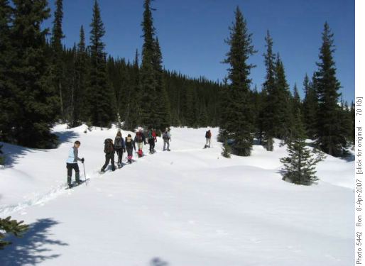 Heading back from Twin Lakes