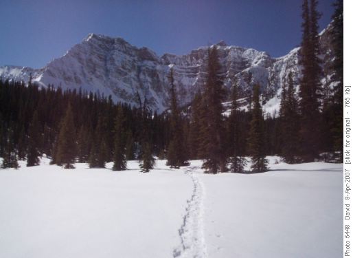 Johns tracks to lower twin lake