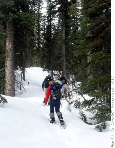 Breaking trail up subsidiary creek