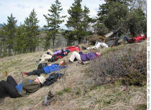 Sleeping Ramblers