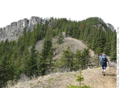 View of the Ridge from Pigeon Lookout