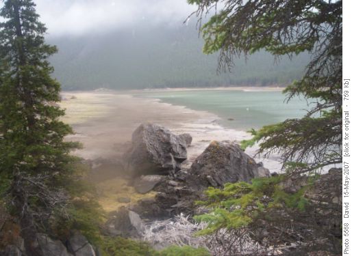 River into the Ghost