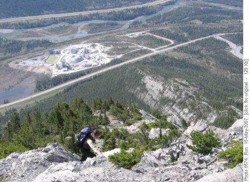 {223 Rita Polt} above the lime plant