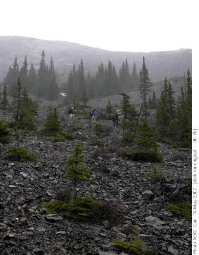 Descent to Grotto Creek