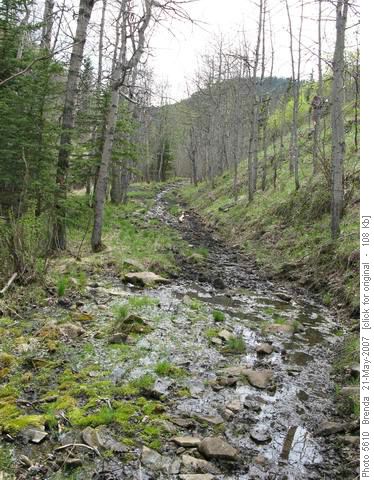 Mud on the Windy Point Trail