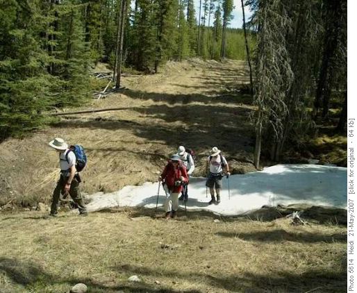 Trail to Pinetop Hill