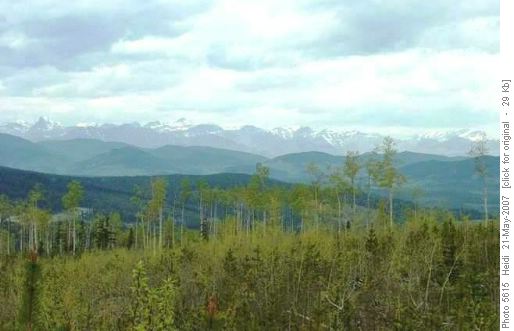 View from Pinetop Hill