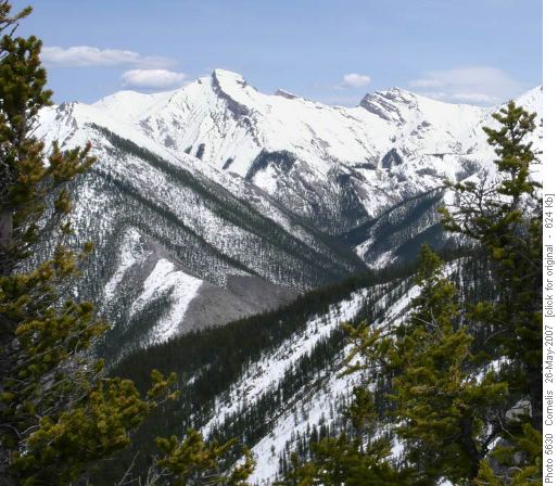 View looking East from Wasootch Ridge