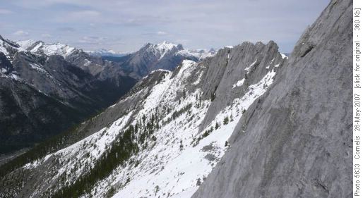 Wasootch Ridge SW-face, looking towards the NW