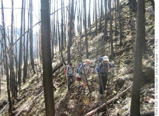 Traversing burnt timber
