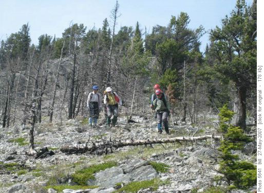 Returning from Mt Costigan