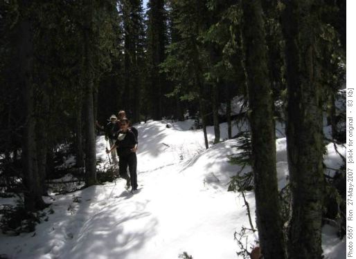 {259 Sh Win} leading the way through isothermal snow