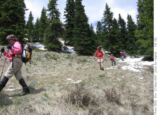 steep grass & snow descent- Powderface