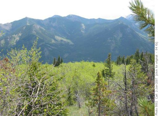 Spring greenery above Highwood valley