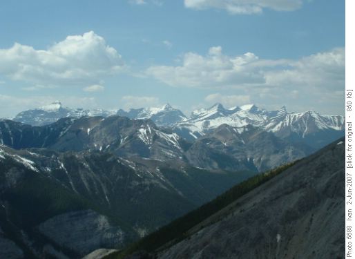 Bogart, Sparrowhawk and Lougheeds.