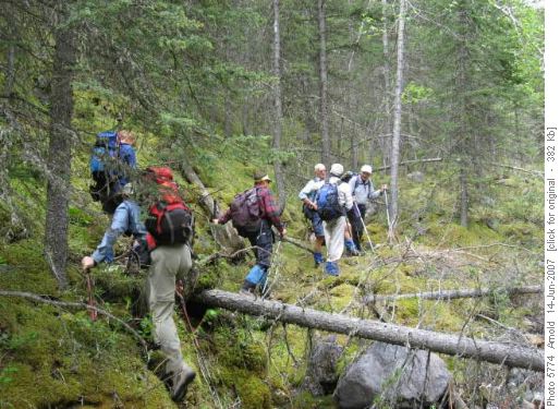 Easy Bushwacking