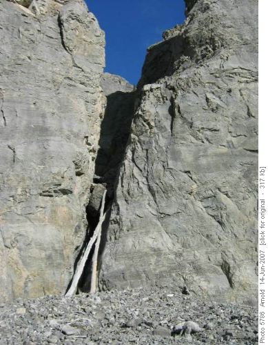 Tree Access