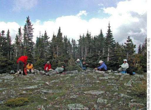 Lunch on Cox Hill