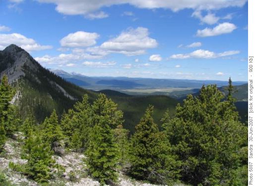 View north from Baldy Pass