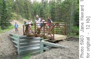 Bridge over creek near Volcano Ridge PRA