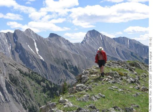 Coordinator Doug on Lineham Ridge