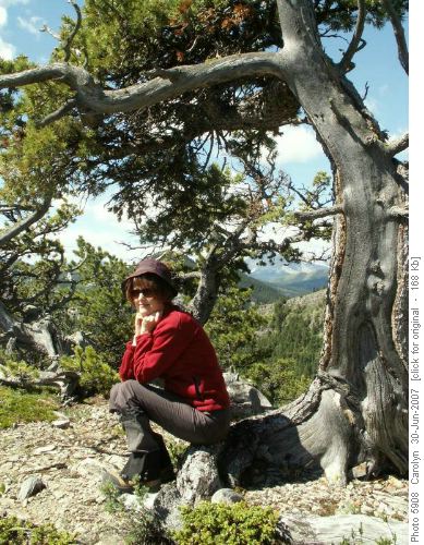 Janet enjoying yet another wooden seat