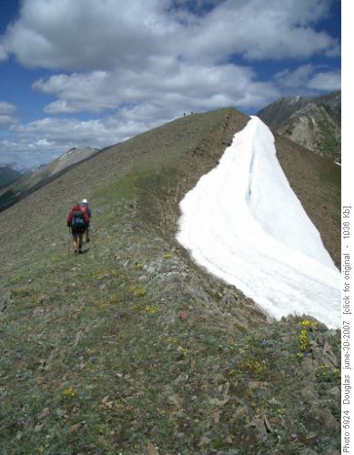 Along the ridge