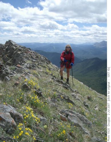 Barb on Lineham Ridge
