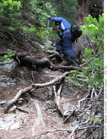 Petain Basin Trail is steep all the way
