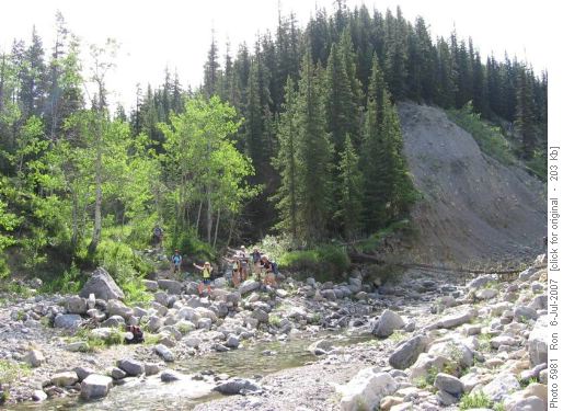 Junction of Salter (left) & Plateau (right) Creeks