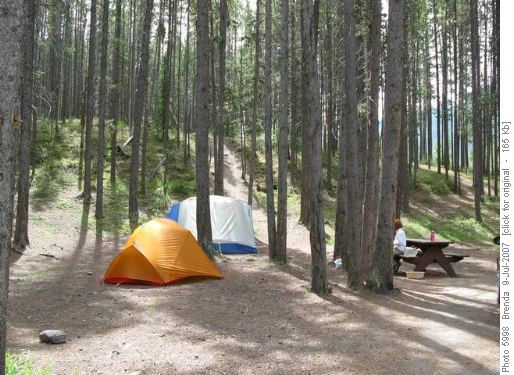 Jonas Creek Campground