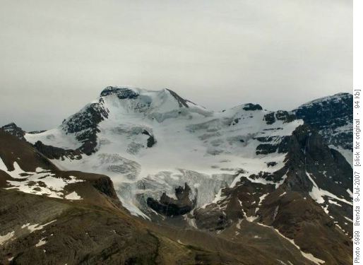 Little A Glacier from Wilcox Pass
