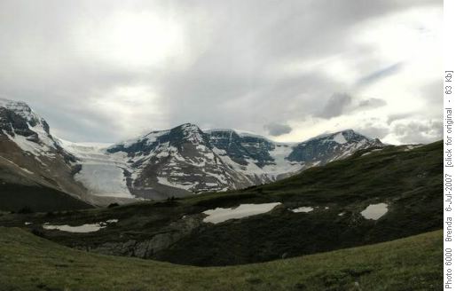 Athabasca Glacier from Wilcox Pass