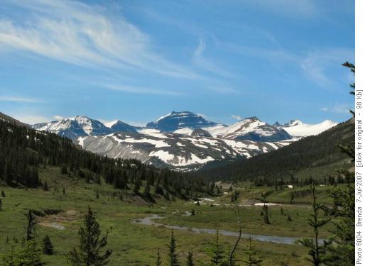Looking back towards the icefields from Nigel Pass