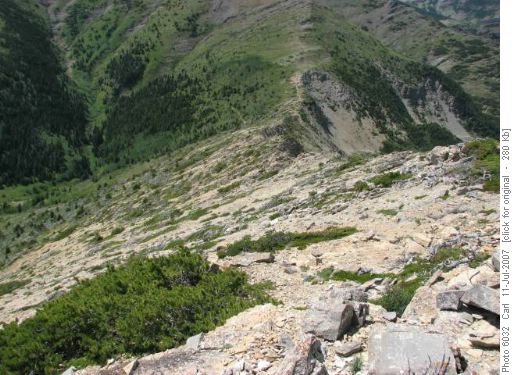 OT5 terrain looking down