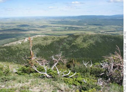 Horseshoe section of Lakeview Ridge