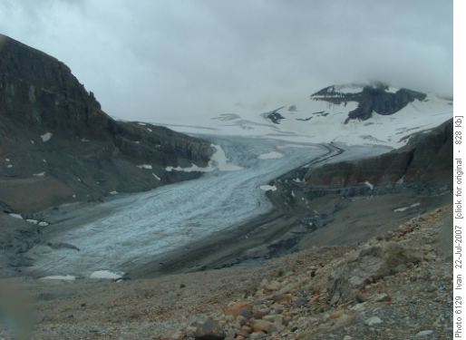 Peyto Glacier