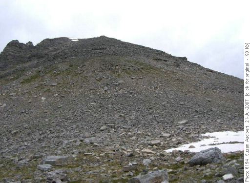 Looking up to the summit of Wastach Mtn. from the pass