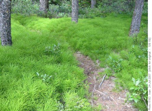 Caldron Trail